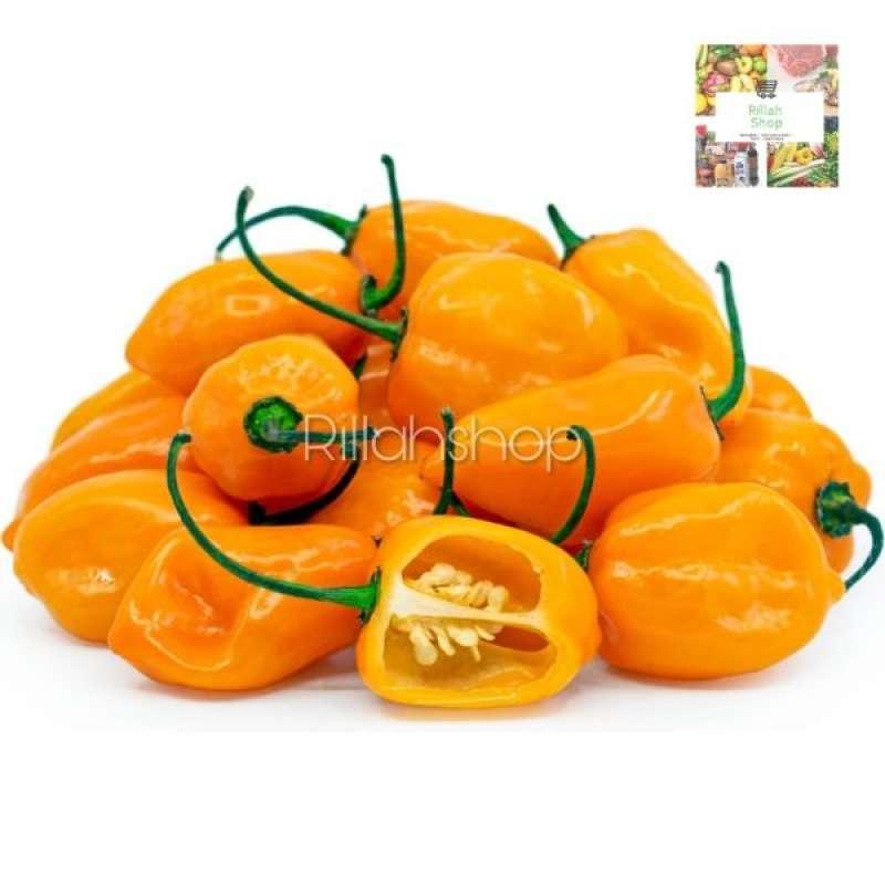 Agen Habanero Populer: Tempat Terbaik untuk Mendapatkan Produk Habanero Berkualitas