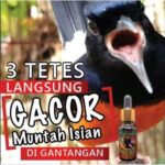 Gacor BNI: 10 Tips Agar Burung Anda Menang Lomba!